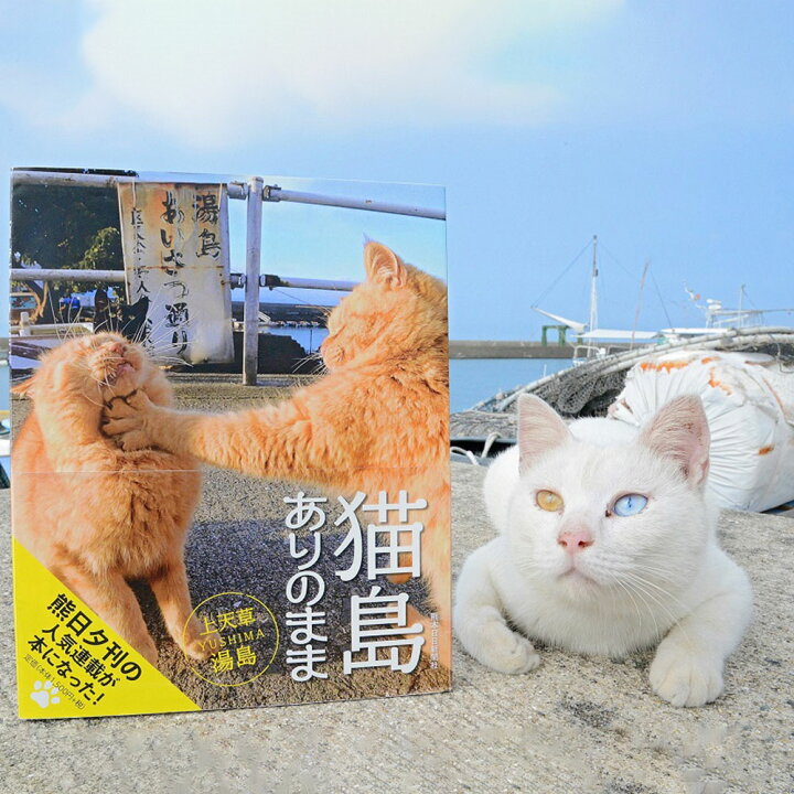 楽天市場 ふるさと納税 数量限定 書籍 猫島ありのまま 上天草 湯島 本 湯島 猫 熊本日日新聞夕刊 人気連載企画 写真 上天草 熊本 写真集 送料無料 熊本県上天草市