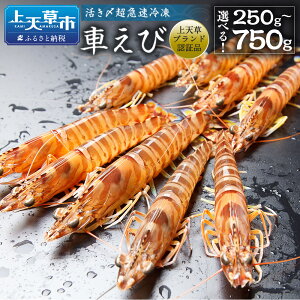 yӂ邳Ɣ[ŁzY}Ⓚ Ԃ 250g`750g 8`33 Iׂe ܂ CV ԊCV   CN Y BY F{Y Ⓚ Mtg ϔ ԊCV y2025N10