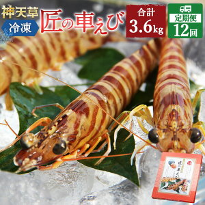 yӂ邳Ɣ[Łzy12z̎Ԃ ߋ}Ⓚ 300g 9`12 v3.6kg ܂ CV CN Y BY F{Y Ⓚ Mtg ϔ ԊCV 