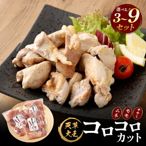 yӂ邳Ɣ[ŁzV剤 RRJbg 3Zbg`9Zbg Iׂe v600g`v1.8kg   { n{ Ⓚ F{ Vs 