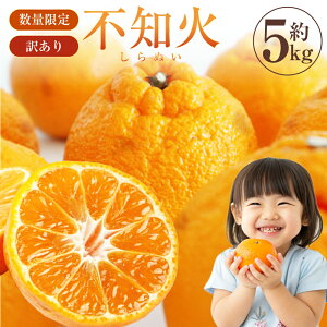 yӂ邳Ɣ[Łzystzyʌzy󂠂zsm 5kg 󂠂 t[c  ʕ ʎ k ʂ Y VsY F{ Vs  y2026N2{3