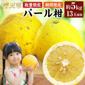 yӂ邳Ɣ[Łzystzyʌzp[ 5kg 13ʑO ρ[邩 k t[c ʕ  VsY F{Y BY Y  y2026N2{3{