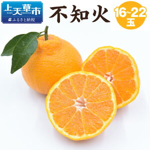yӂ邳Ɣ[Łzystzsm 5kg 16ʁ`22 ʂ k ʕ t[c ݂̉ʎ F{Y  y2026N3{5{\z yVX[p[SALE 9J