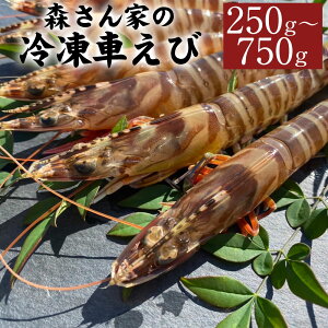 �y�ӂ邳�Ɣ[�Łz�X����Ƃ̗Ⓚ�Ԃ��� �����Y�Ⓚ�ԊC�V 250g�`750g�i��8�`45���j �I�ׂ���e�� �C�V �G�r �ԃG�r �ԊC�V �h�g �V�N �C�N ���� �{�B ��V���s �F�{�� ���Y ��B�Y �Ⓚ ������