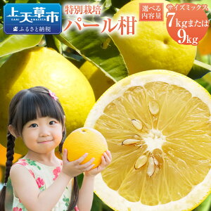 yӂ邳Ɣ[Łz yIׂeʁzystzʍ͔|p[iVUj 7kg ܂ 9kg TCY~bNX Y VsY F{Y ʕ t[c  k  y2026N2{