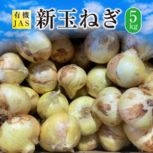 yӂ邳Ɣ[ŁzystzL@JAS Vʂ˂ 5kg  ₳ ܂˂ ʂ˂ ʔK F{ Vs  y2026N3{4{\z yVX[p[SALE 9J