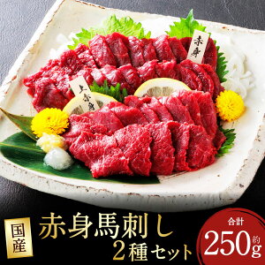【ふるさと納税】国産 赤身 馬刺し 2種セット 専用醤油付き(80ml×1本) 赤身並馬刺し×3パック・上赤身馬刺し×2パック 計約250g(約50g×5パック) 馬刺 馬肉 お肉 しょうゆ 詰め合わせ 冷凍 熊