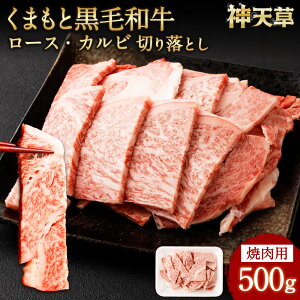 yӂ邳Ɣ[Łz܂ƍјa ēp [X Jr ؂藎Ƃ 500g    a јa [X o Ă BBQ ؗ ؂ ~ Ⓚ B Y F{ Vs 