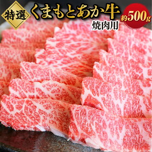 yӂ邳Ɣ[ŁzG21Q IꂽGIF ܂Ƃ Iēp 500g    Ă  o[xL[ BBQ GIF Ⓚ  yVX[p[SALE 9J