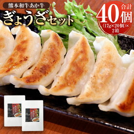 【ふるさと納税】熊本和牛あか牛 ぎょうざ セット 熊本あか牛 餃子 20個入り×2箱 合計40個 あか牛 赤牛 肉 お肉 牛肉 グルメ 惣菜 中華 中華料理 冷凍 冷凍餃子 和牛 送料無料