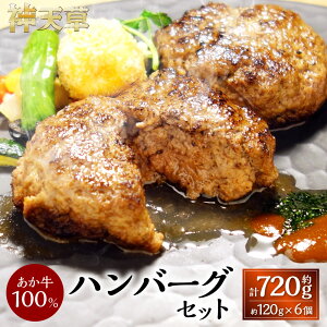 yӂ邳Ɣ[Łz100 no[OZbg 120g×6   a no[O  mH y Ⓚ Y B F{ F{ Vs  yVX[p[SALE 9J