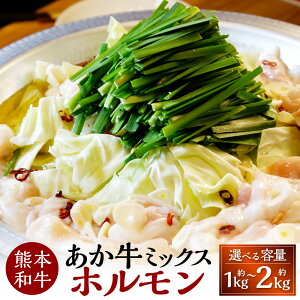 yӂ邳Ɣ[ŁzyIׂeʁzF{a  z v1kg`2kg 500g×2`4pbN  ԋ a Ⓚ ~bNXz  咰 AJZ}C Z}C  c  Y 