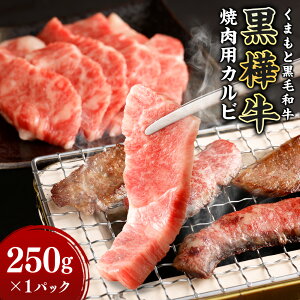 yӂ邳Ɣ[Łz ēpJr 250g×1pbN    a јa Y Ⓚ Ă ē Ⓚ F{ 