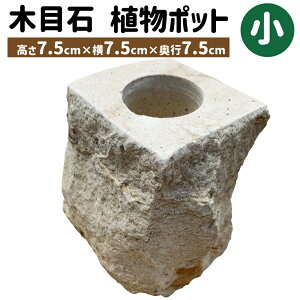 yӂ邳Ɣ[Łzؖڐ A|bg TCY (7.5cm×7.5cm×s7.5cm) K[fjO  A | ϗtA A  CeA G u    F{Y BY 