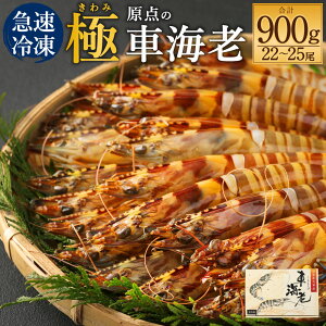 【ふるさと納税】「極」 原点の車海老 急速冷凍 500g 12〜14尾 または 900g 22〜25尾 選べる内容量 特大サイズ くるまえび 海老 えび 車海老 海鮮 国産 九州産 熊本県産 冷凍 送料無料 【2025年11月