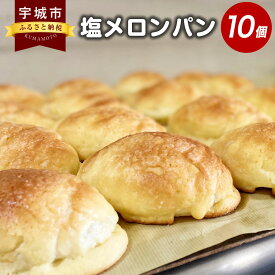 【ふるさと納税】塩メロンパン 10個セット メロンパン パン ぱん 菓子パン スイーツ おやつ 朝食 食品 軽食 冷凍 詰め合わせ ミルキー 人気商品 お取り寄せ 九州 熊本県 宇城市 送料無料