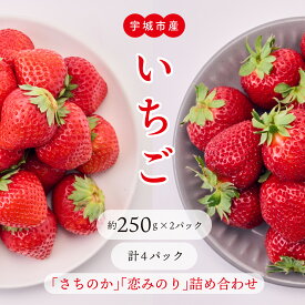【ふるさと納税】 先行予約 いちご 「さちのか」「恋みのり」詰め合わせ 約1,000g 合計 4パック (各2パック) 【2026年1月上旬〜4月発送予定】わたなべいちご園 苺 九州産 熊本産 宇城市産 食べ比べ 冷蔵