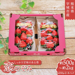 yӂ邳Ɣ[Łz s\  ̂ yIׂeʁz( 500g 1kg 1.5kg 2kg) 1pbN250g (7`11) y2026N2{`3{\z  ①  B F{ FsY JAF{
