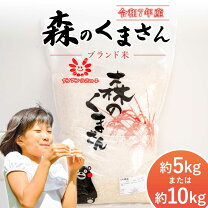 楽天市場】森のくまさん 玄米 30kgの通販