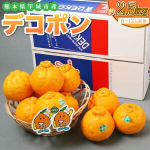 �y�ӂ邳�Ɣ[�Łz�y��s��t�z�F��s�Y �f�R�|�� 4L�`S�T�C�Y ��2.5kg 6�`12�ʑO�� �ł��ۂ� ���k �t���[�c �������� �ʕ� �F�{���Y ��B�Y �������� �t���b�V���_�C���N�g �y2026�N2�����{�`5��