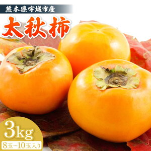 �y�ӂ邳�Ɣ[�Łz���H�` ��3kg ��8�ʁ`10�ʓ��� �����A���܍��̏d�� �` ���� �������イ���� ��H�` �① �F�{���Y ���Y �������� �t���b�V���_�C���N�g �y2026�N10�����{�`11�����{�������\��