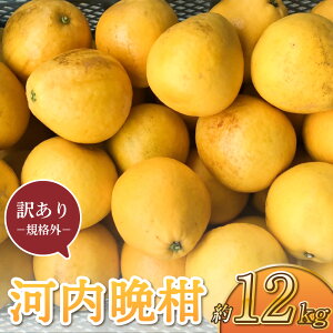 yӂ邳Ɣ[Łzys\z 󂠂 ͓ӊ 12kg KiO TCYsI ӊ ΂񂩂 k B F{ Fs  GGYpbP[W y2026N3{`6{\z