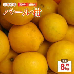 yӂ邳Ɣ[Łzys\z 󂠂 p[ 8kg KiO U k k B F{ Fs  GGYpbP[W y2026N1{`2{\z