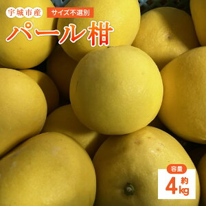 yӂ邳Ɣ[Łzys\z p[ 4kg TCYsI U k k B F{ Fs  GGYpbP[W y2026N1{`2{\z