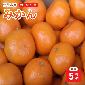 yӂ邳Ɣ[Łzys\z ݂ 5kg 2L`2STCY ~J  k B F{ Fs  GGYpbP[W y2025N10{`2026N1{\z
