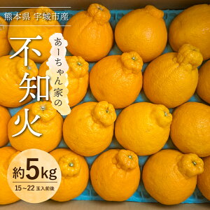 yӂ邳Ɣ[Łzys\z sm [Ƃ̕sm 5kg (15`22ʑO) y2026N4{`5{\z ʂ k F{Y BY Y FsY ʎ