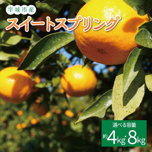 yӂ邳Ɣ[Łzs\ XC[gXvO Iׂe 4kg (20ʑO) ܂ 8kg (40ʑO)y2025N12{2026N1{\zt[c ʕ  F{Y BY Y