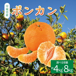 yӂ邳Ɣ[Łzs\ |J 4kg (20ʑO) ܂ 8kg (40ʑO)y2026N1{2{\zt[c ʕ  F{Y BY Y  Ђł݂