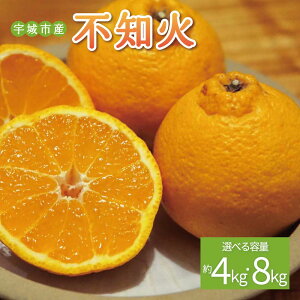 yӂ邳Ɣ[Łzs\ sm Iׂe 4kg (15ʑO) ܂ 8kg (25ʑO)y2026N2{3{\z ʂ ݂ ~J  t[c ʕ  F{Y 