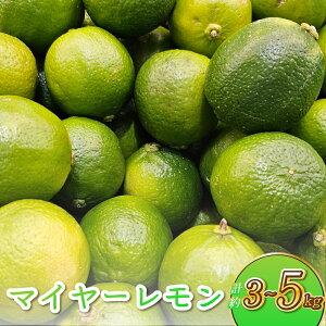 yӂ邳Ɣ[Łz }C[ 3kg ܂ 5kg 25ʁ`40  EG t[c ʕ  Y 2025N9{-12{\ Ђ_ FsY F{Y BY
