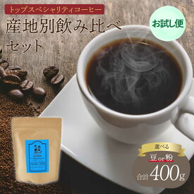 【ふるさと納税】【お試し便】トップスペシャリティコーヒー 【豆or粉】選べる挽き方 コーヒー 珈琲 コーヒー豆 珈琲豆 コーヒー粉 珈琲粉 直火焙煎 送料無料 飯田珈琲