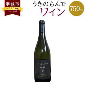 【ふるさと納税】うきのもんでワイン 赤 750ml 1本 宇城市産 熊本県産 国産 赤ワイン お酒 フルーティー 甘い香り 送料無料