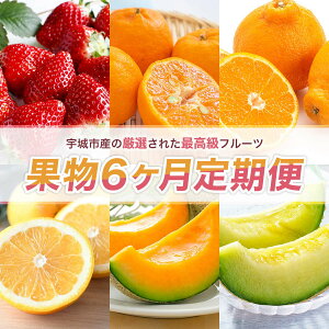 yӂ邳Ɣ[Łzys\z ʕ 6 v6 ( 1kg ۂ񂩂 4.5kg fR| 2kg W[V[IW 4.5kg NCV[ 2kg O[ 1.3kg) y2026N1{