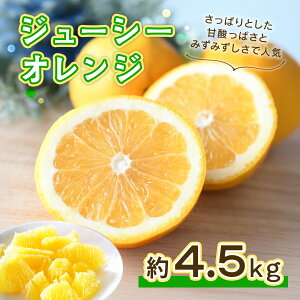 yӂ邳Ɣ[Łzys\z W[V[IW 4.5kg y2026N4{珇\z ݂ ~J IW  ʕ k ͓ӊ t[c  F{ BY Â r^