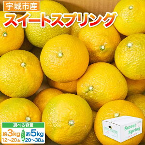 【ふるさと納税】【選べる容量】 先行予約 スイートスプリング 約3kg(12〜20玉)もしくは 約5kg(20〜38玉) 【2025年12月下旬~2026年1月下旬頃発送予定】 みかん ミカン 蜜柑 柑橘 果物 くだもの