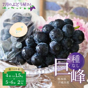 �y�ӂ邳�Ɣ[�Łz ���� ��Ȃ� ���˂Ȃ� ����ق� �Ԃǂ� ���� 7���̂Ԃǂ������� ��Ȃ����� �I�ׂ�e�ʖ�1.5kg �������� ��2kg 4�`6�[ �햳������ �F�{�� �F��s�Y �① ����ʎ��� �y2026�N7��