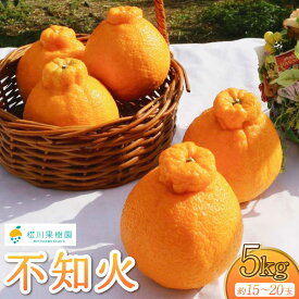 【ふるさと納税】 先行予約 不知火 しらぬい 柑橘 みかん ミカン 蜜柑 5kg 約15〜20玉 果物 くだもの フルーツ 九州産 熊本県産 宇城市産 国産 雑誌 MORE 掲載商品 松川果樹園 2026年3月上旬から4月下旬発送予定