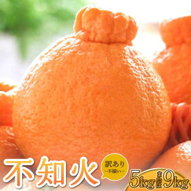 【ふるさと納税】 不知火 訳あり品 しらぬい わけあり 柑橘類 みかん ミカン 蜜柑 5kg 約15〜20玉 もしくは 9kg 約30〜40玉 果物 くだもの フルーツ 九州産 熊本県産 宇城市産 国産 雑誌 MORE 掲載商品 松川果樹園 2026年3月上旬から4月下旬発送予定