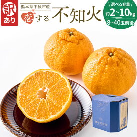 【ふるさと納税】 先行予約 訳あり 不知火 恋する不知火 選べる容量 （約2kg/7.5kg/10kg） 8〜40玉 【2027年4月上旬から2027年6月下旬発送予定】　わけあり 不揃い しらぬい 柑橘 宇城市 熊本県産 御舩果樹園