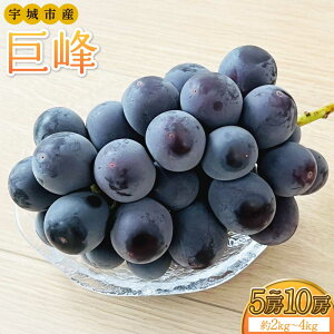 �y�ӂ邳�Ɣ[�Łz�y��s�\��z ���� �y�I�ׂ�e�ʁz��2kg�`4kg 5�`10�[ �y2026�N8����{-2026�N8�����{�������\��z ����ق� ���� �Ԃǂ� �F�{�� �������� �݂̂��ό��_��