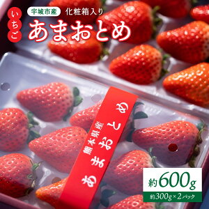 yӂ邳Ɣ[Łzs\yzIׂz ϔ  ܂Ƃ 600g i300g×2pbN)y2026N1{`3{\z  F{Y BY Y NAGATA FARM