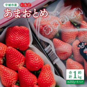 yӂ邳Ɣ[ŁzyzIׂzys\z  ܂Ƃ 1kg(250g×4pbN) y2026N1{`3{\z  F{Y BY Y FsY NAGATA FARM