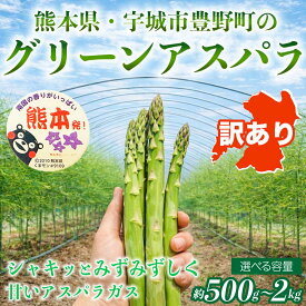 【ふるさと納税】 訳あり アスパラガス グリーンアスパラ アスパラ あすぱら 選べる容量 約500g 約1kg 約2kg (S～L) 【2026年7月上旬～2026年10月中旬発送予定】野菜 春野菜 旬野菜 生鮮食品 熊本 熊本県 宇城市 みずみずしい 甘い シャキシャキ やわらかい 日本フルーツ
