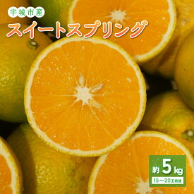 【ふるさと納税】 スイートスプリング 約5kg (15〜20玉前後) 【2025年11月下旬-2026年2月下旬発送予定】柑橘 フルーツ 果物 くだもの 熊本県産 九州産 国産 送料無料 のむちゃん農園