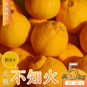 �y�ӂ邳�Ɣ[�Łz�y��s�\��z �󂠂� �H�n�͔| ���c�s�m�� ��5kg 16-22�� �y2026�N3����{-2026�N4�����{�����\��z �s���� �킯���� ����ʂ� ���k ���� �݂��� �~�J�� �ʕ� �������� �t���[�c 