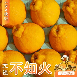 �y�ӂ邳�Ɣ[�Łz�y��s�\��z �n�E�X�͔| ���c�s�m�� ��3kg 8-10�� �y2026�N3����{����2026�N4�����{�����\��z �ʑ��� ����ʂ� ���k ���� �݂��� �~�J�� �ʕ� �������� �t���[�c �F��s�Y �F